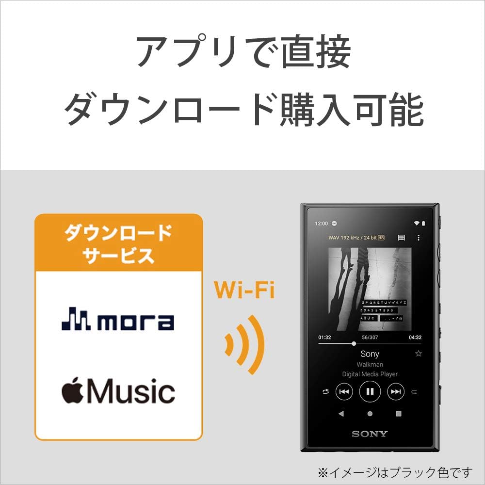 SONY NW−A105 Amazon.com: Sony Walkman NW-A105 - Reproductor MP3 de alta